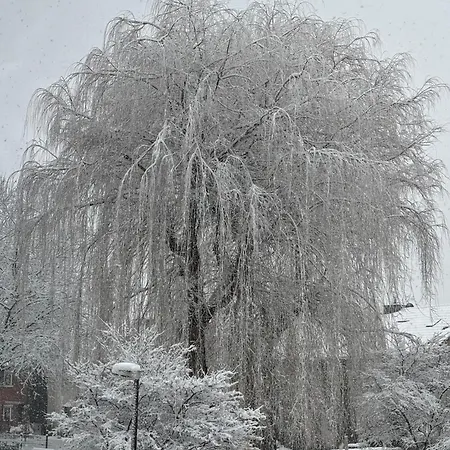 Nest,ruhe Und Erholung Apartament