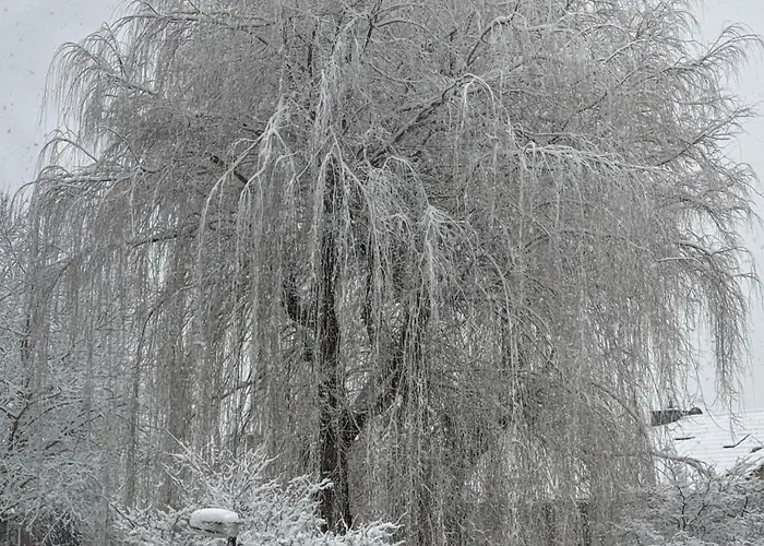 Nest,ruhe Und Erholung Lejlighed